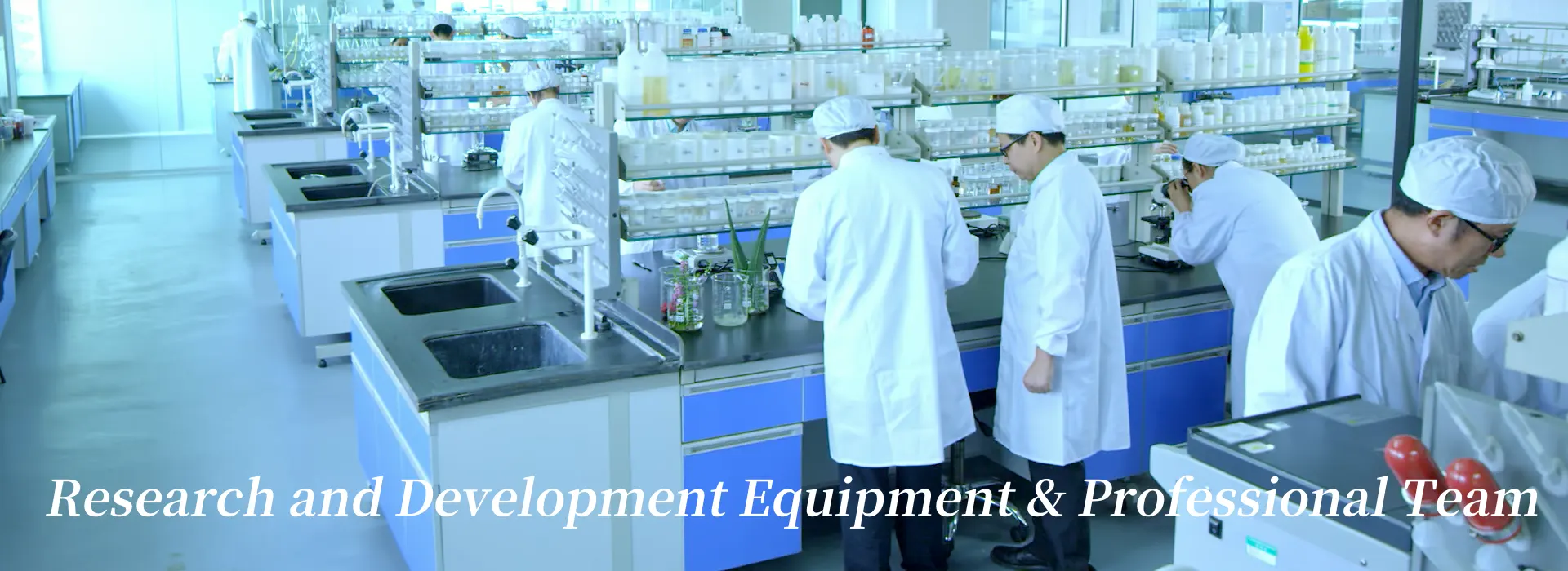 Formulation Development Formulation Development